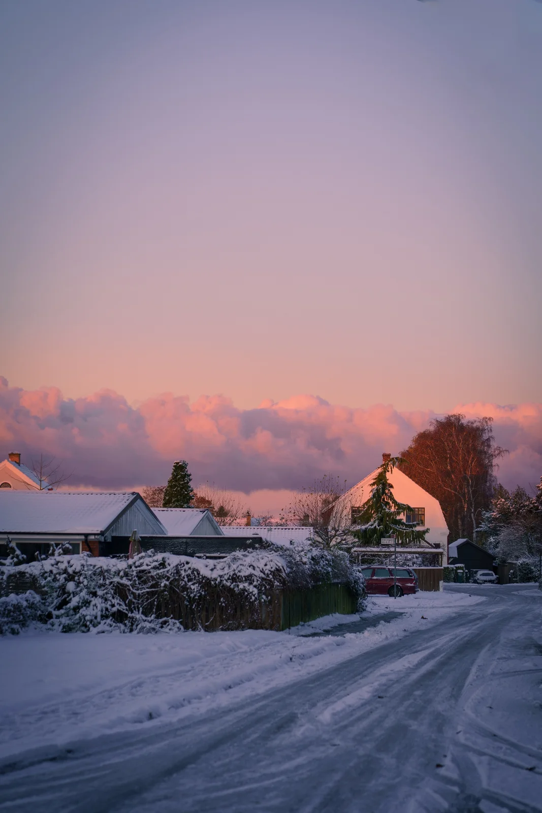 A snow-covered residential street beneath a pink evening sky.